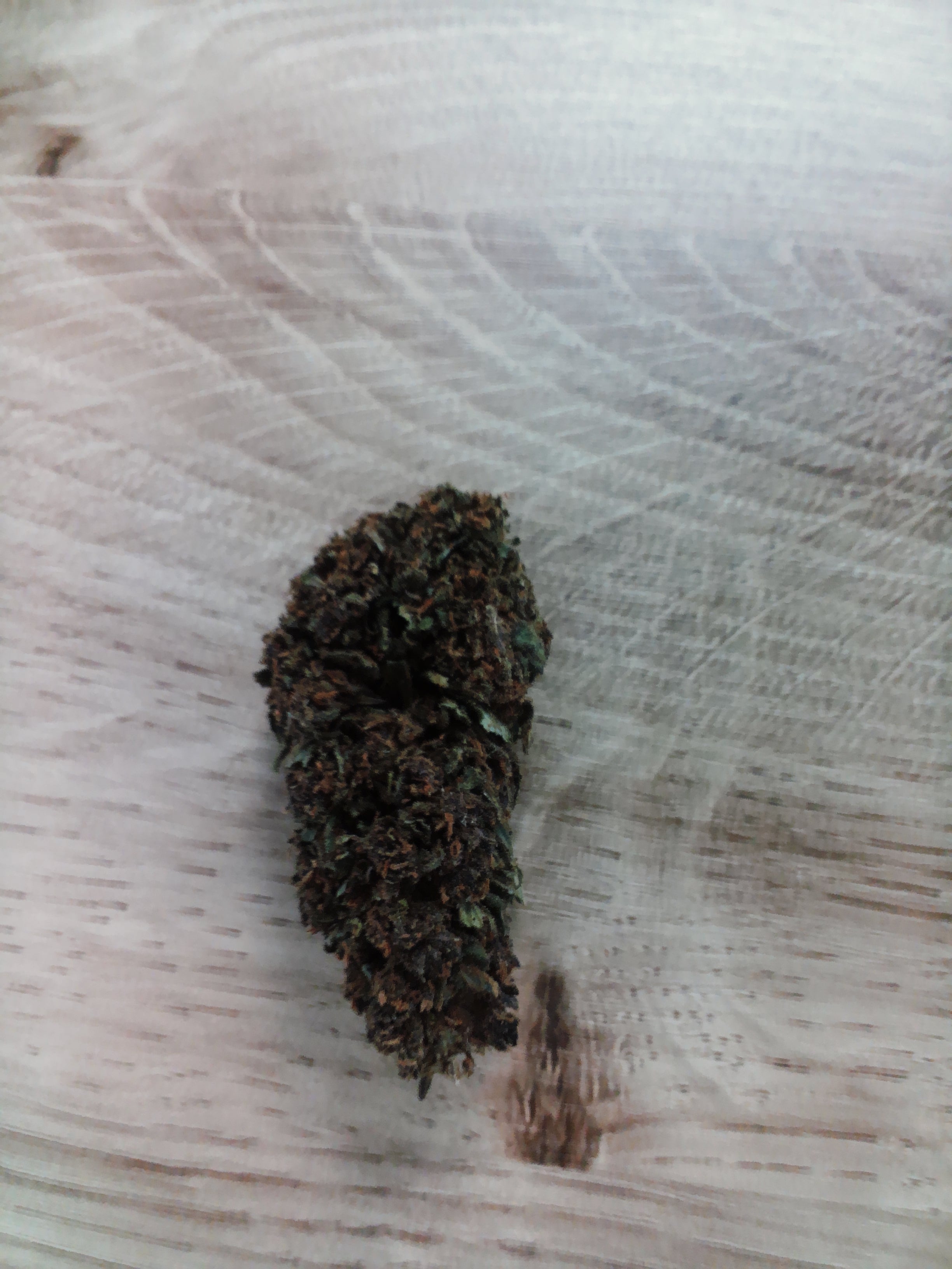 Fleurs BLACK MAMBA