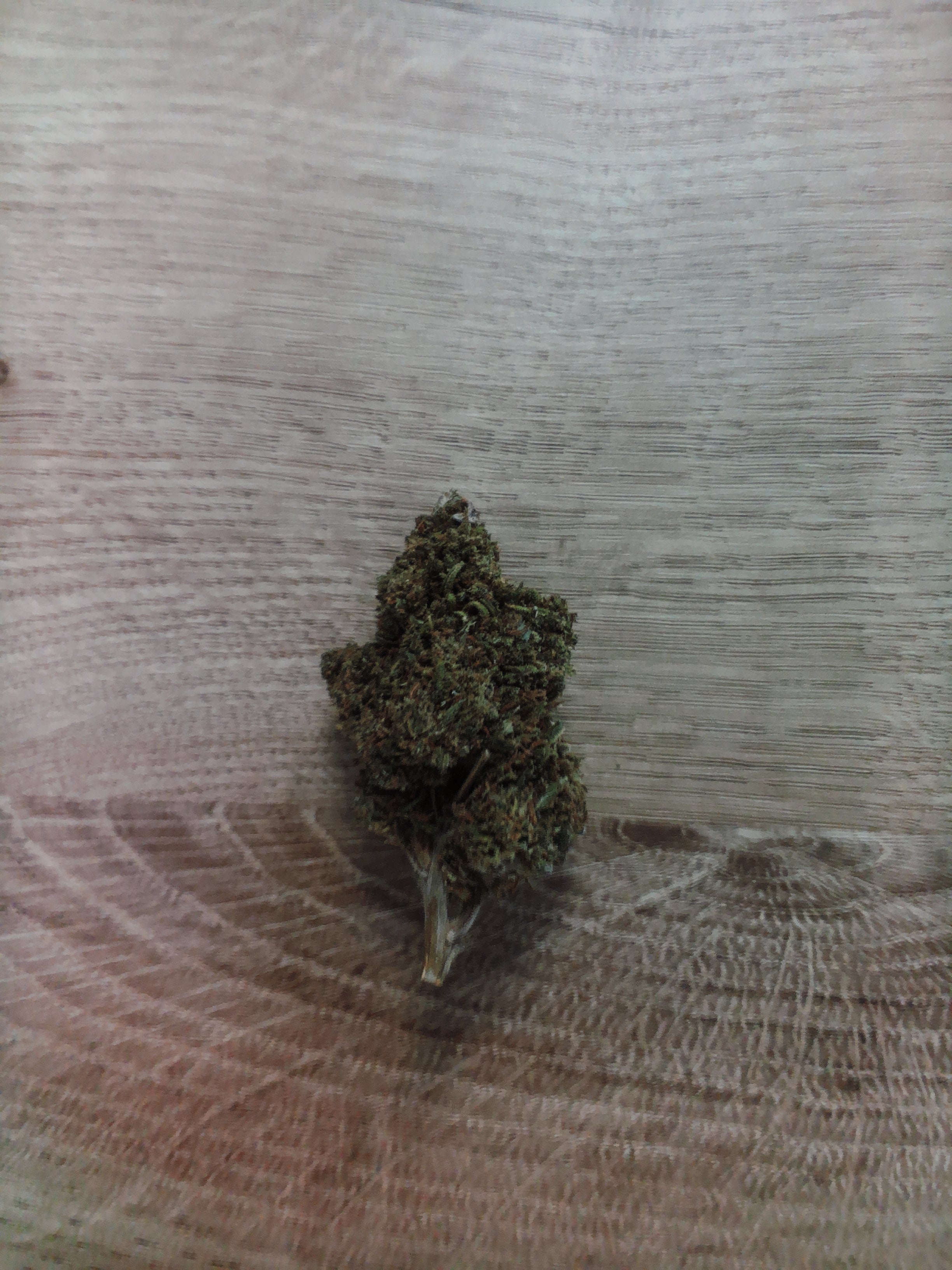 Fleurs LIBERTY HAZE