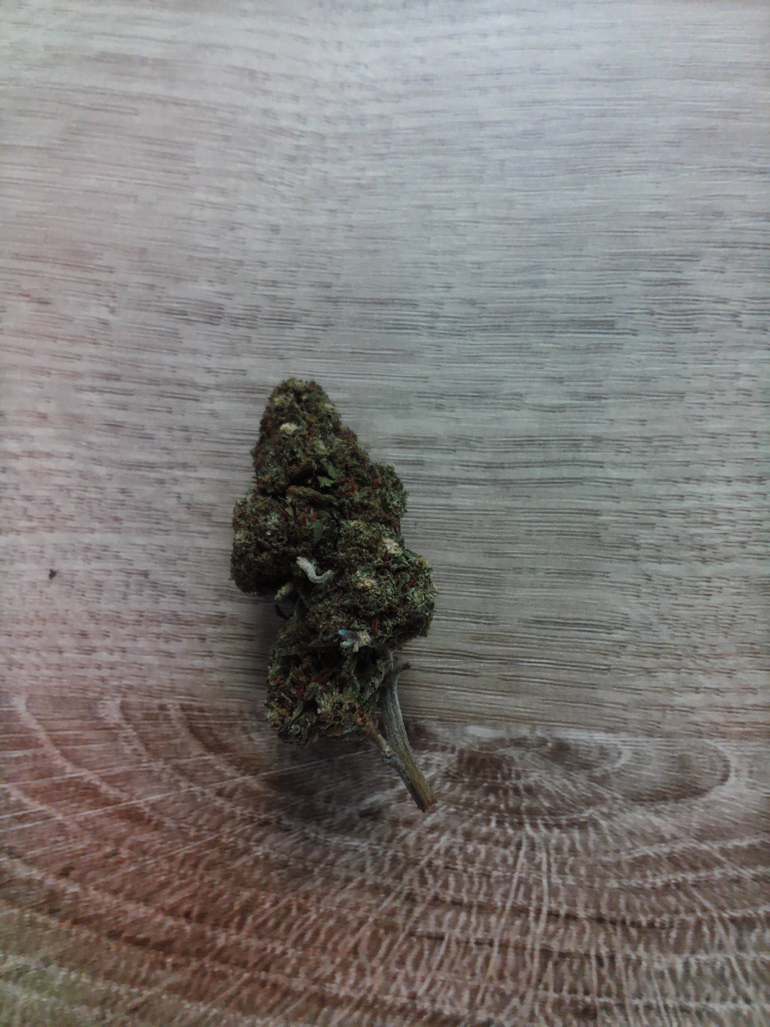 Fleurs AMNESIA LEMON