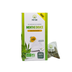 Infusion Menthe douce en sachet Pyramide